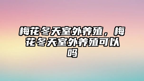 梅花冬天室外養(yǎng)殖，梅花冬天室外養(yǎng)殖可以嗎